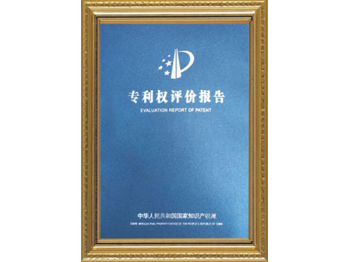 專(zhuān)利權(quán)評(píng)估報(bào)告